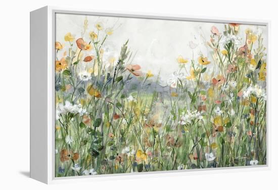 Woodland Meadow-Carol Robinson-Framed Stretched Canvas