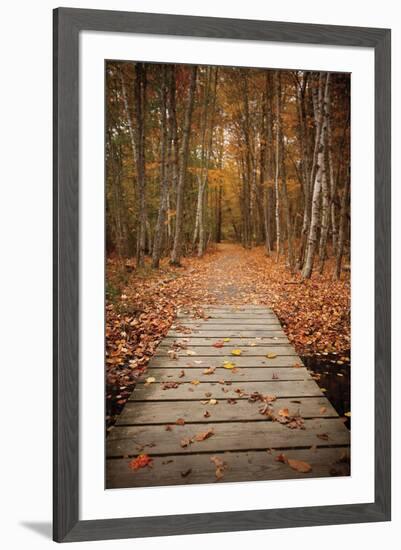 Woodland Path-Michael Hudson-Framed Art Print