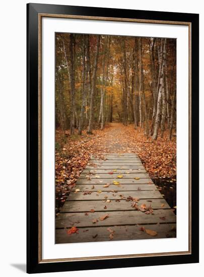 Woodland Path-Michael Hudson-Framed Art Print