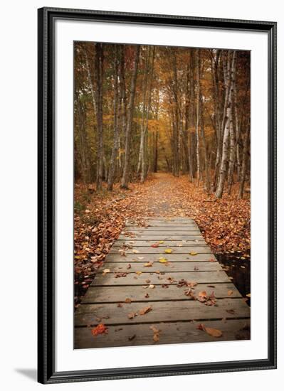 Woodland Path-Michael Hudson-Framed Art Print