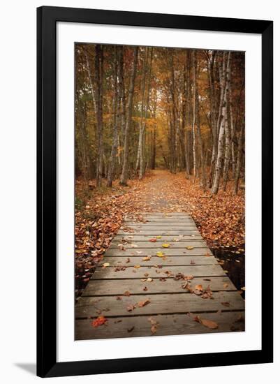 Woodland Path-Michael Hudson-Framed Art Print