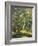 Woodland Pool-Olaf August Hermansen-Framed Giclee Print