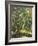 Woodland Pool-Olaf August Hermansen-Framed Giclee Print