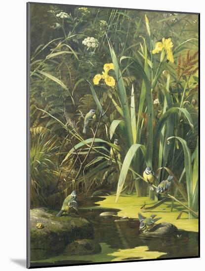 Woodland Pool-Olaf August Hermansen-Mounted Giclee Print