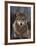 Woodland Pride, Montana-Art Wolfe-Framed Art Print