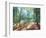 Woodland Reverie-Danhui Nai-Framed Premium Giclee Print
