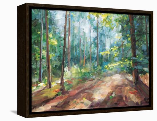 Woodland Reverie-Danhui Nai-Framed Stretched Canvas