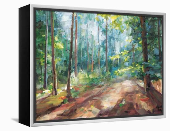 Woodland Reverie-Danhui Nai-Framed Stretched Canvas