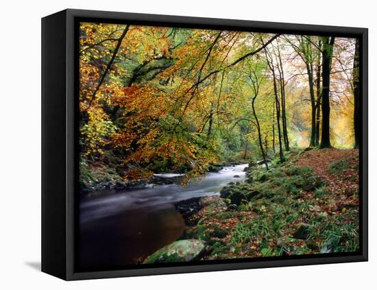 Woodland River-Dr. Keith Wheeler-Framed Premier Image Canvas