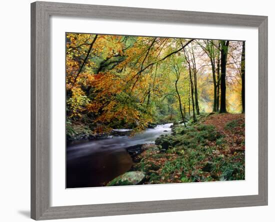 Woodland River-Dr. Keith Wheeler-Framed Photographic Print