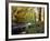 Woodland River-Dr. Keith Wheeler-Framed Photographic Print