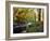 Woodland River-Dr. Keith Wheeler-Framed Photographic Print