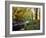 Woodland River-Dr. Keith Wheeler-Framed Photographic Print