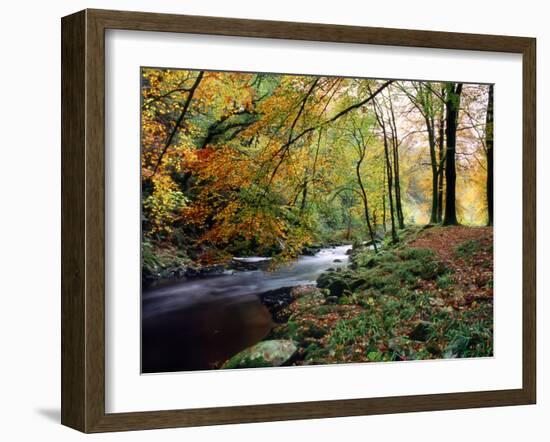 Woodland River-Dr. Keith Wheeler-Framed Photographic Print