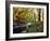 Woodland River-Dr. Keith Wheeler-Framed Photographic Print