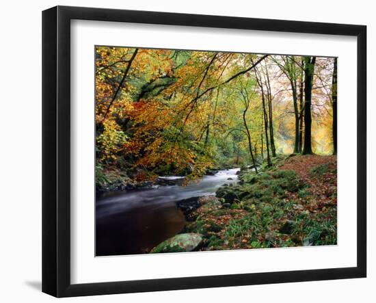 Woodland River-Dr. Keith Wheeler-Framed Photographic Print