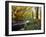 Woodland River-Dr. Keith Wheeler-Framed Photographic Print