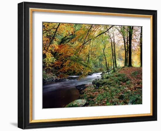 Woodland River-Dr. Keith Wheeler-Framed Photographic Print