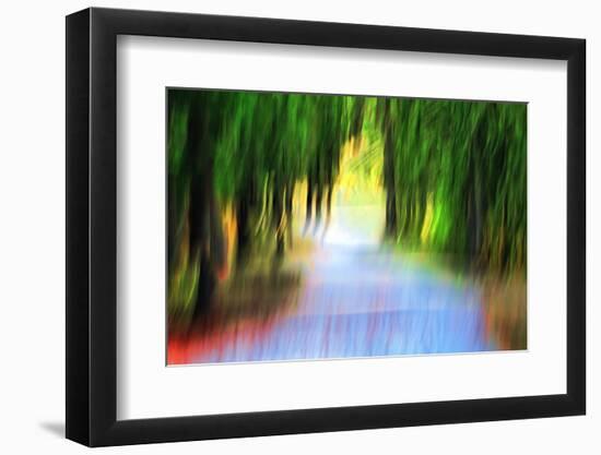 Woodland Road-Ursula Abresch-Framed Photographic Print