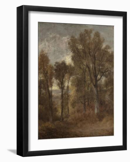 Woodland Scene Overlooking Dedham Vale, C.1802-03 (Oil on Canvas)-John Constable-Framed Giclee Print
