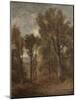 Woodland Scene Overlooking Dedham Vale, C.1802-03 (Oil on Canvas)-John Constable-Mounted Giclee Print