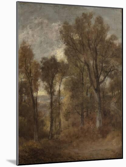Woodland Scene Overlooking Dedham Vale, C.1802-03 (Oil on Canvas)-John Constable-Mounted Giclee Print