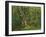 Woodland Scene with Rabbits, 1862-Hubert von Herkomer-Framed Giclee Print