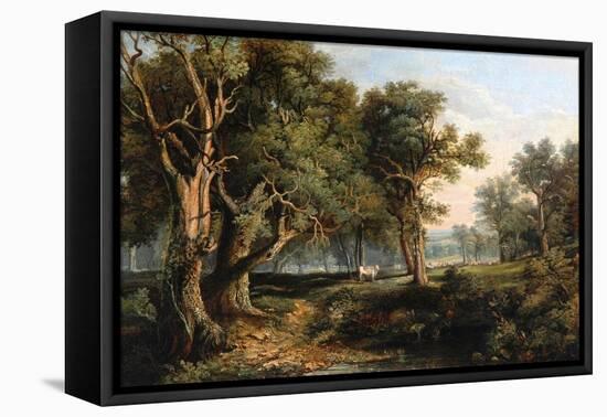 Woodland Scene-James Stark-Framed Premier Image Canvas