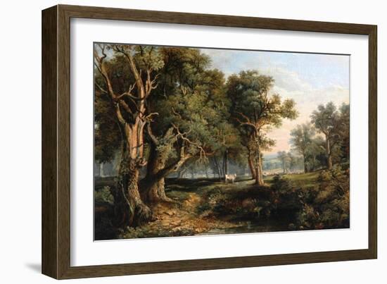 Woodland Scene-James Stark-Framed Giclee Print