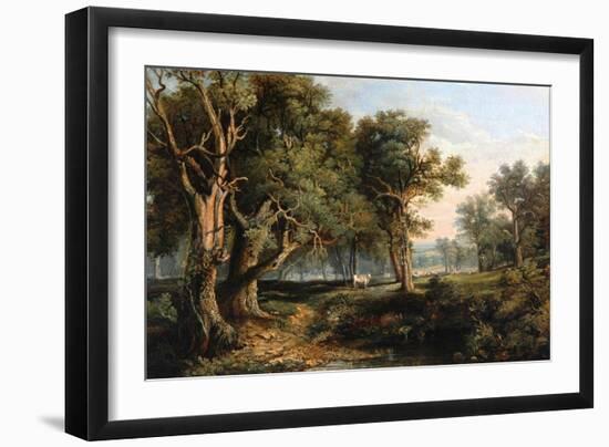 Woodland Scene-James Stark-Framed Giclee Print