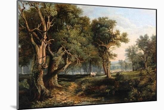 Woodland Scene-James Stark-Mounted Giclee Print