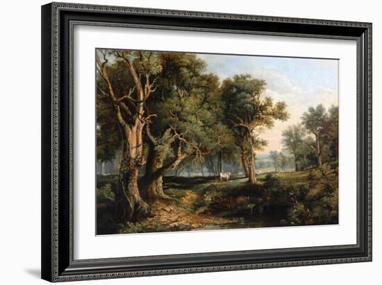 Woodland Scene-James Stark-Framed Giclee Print