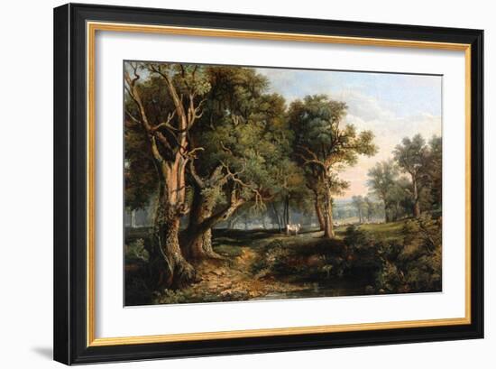 Woodland Scene-James Stark-Framed Giclee Print