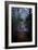 Woodland Scenery in England-David Baker-Framed Photographic Print