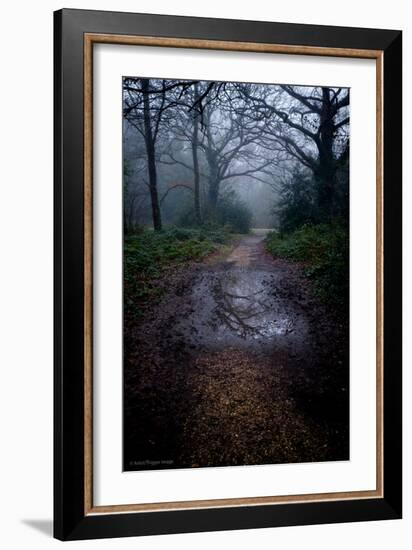 Woodland Scenery in England-David Baker-Framed Photographic Print