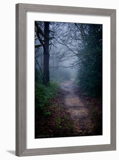 Woodland Scenery in England-David Baker-Framed Photographic Print