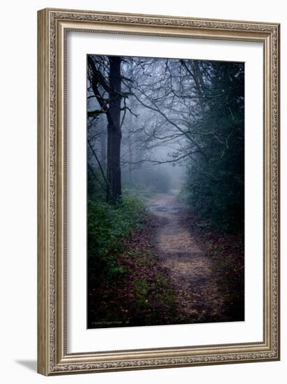 Woodland Scenery in England-David Baker-Framed Photographic Print