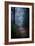 Woodland Scenery in England-David Baker-Framed Photographic Print