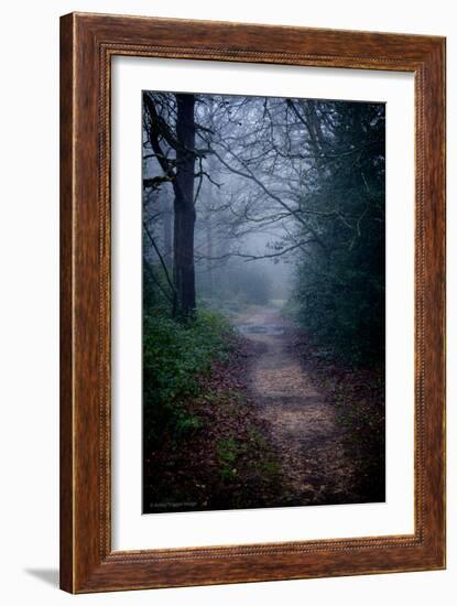 Woodland Scenery in England-David Baker-Framed Photographic Print