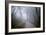 Woodland Scenery in England-David Baker-Framed Photographic Print