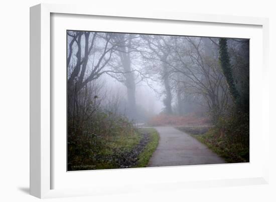 Woodland Scenery in England-David Baker-Framed Photographic Print