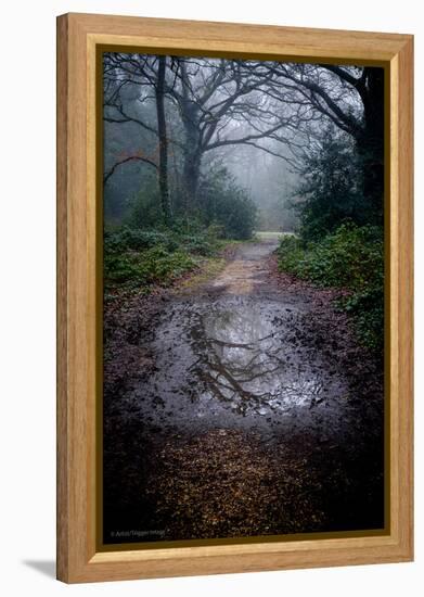 Woodland Scenery in England-David Baker-Framed Premier Image Canvas