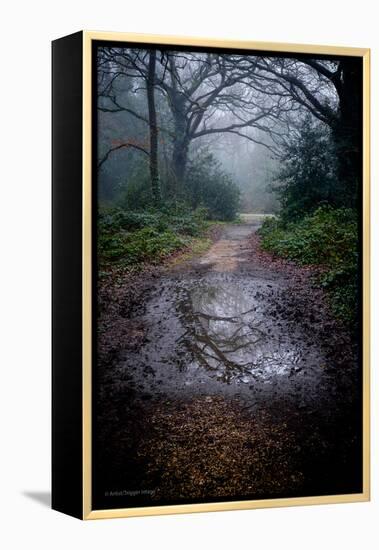 Woodland Scenery in England-David Baker-Framed Premier Image Canvas