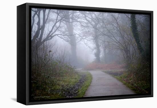 Woodland Scenery in England-David Baker-Framed Premier Image Canvas