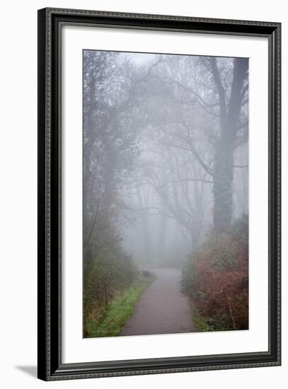 Woodland Scenery in England-David Baker-Framed Photographic Print