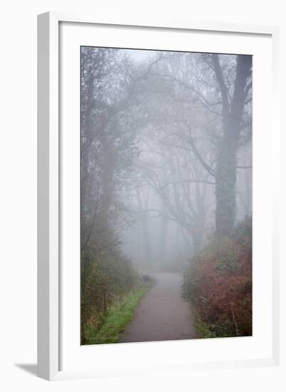 Woodland Scenery in England-David Baker-Framed Photographic Print