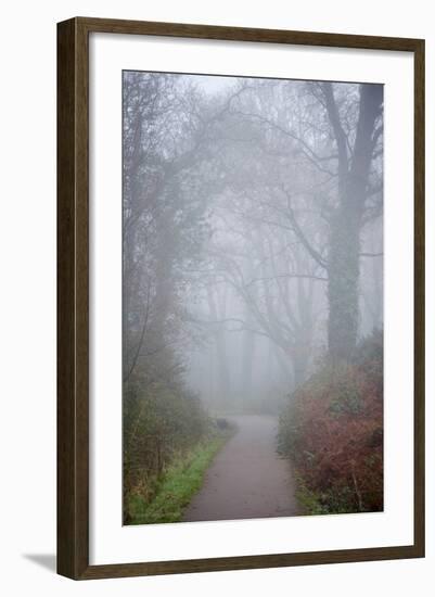 Woodland Scenery in England-David Baker-Framed Photographic Print