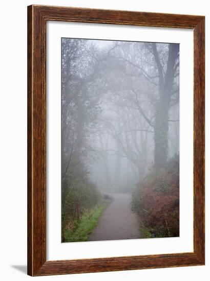 Woodland Scenery in England-David Baker-Framed Photographic Print