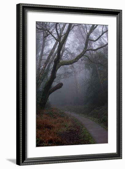 Woodland Scenery in England-David Baker-Framed Photographic Print