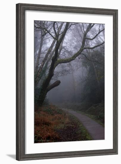 Woodland Scenery in England-David Baker-Framed Photographic Print